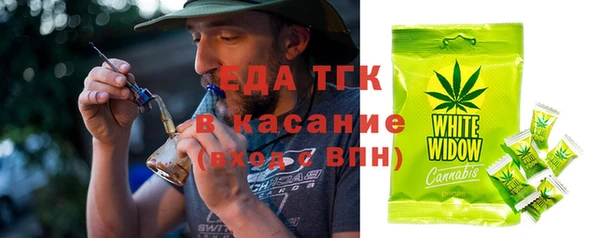 гашик Новозыбков