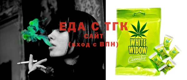 гашик Новозыбков