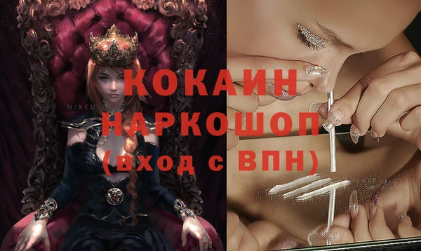 гашик Новозыбков