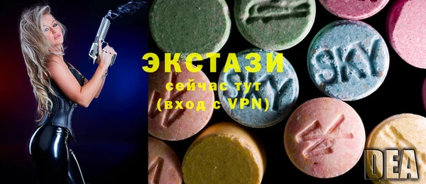 гашик Новозыбков