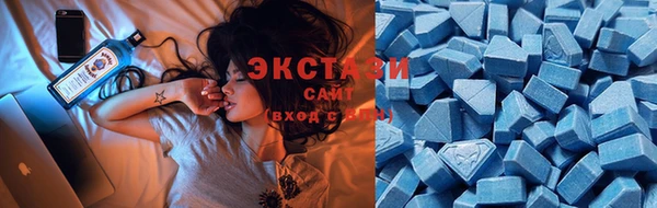 гашик Новозыбков
