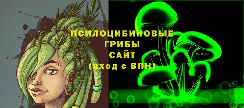 Галлюциногенные грибы Psilocybine cubensis  дарнет шоп  omg зеркало  Зеленокумск 