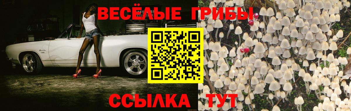 Псилоцибиновые грибы прущие грибы  Галлюциногенные грибы Psilocybe  Зеленокумск  Вход с VPN 